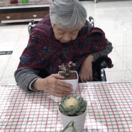 领养植物