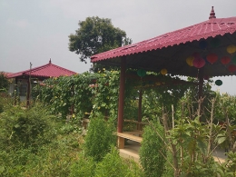 生活环境