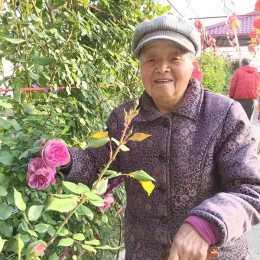 文化娱乐